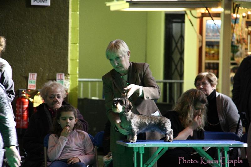 Crufts2011_2 659.jpg